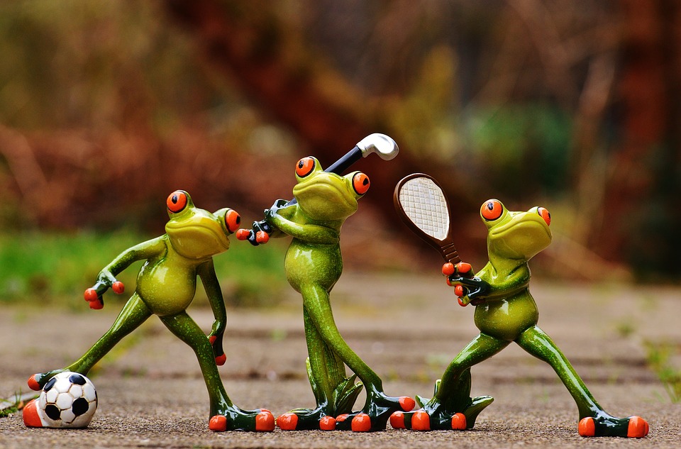 Funny sporty frogs